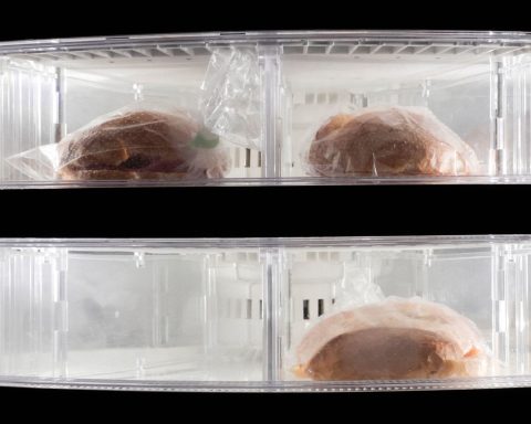 Ingevroren broodjes in een vriesvak